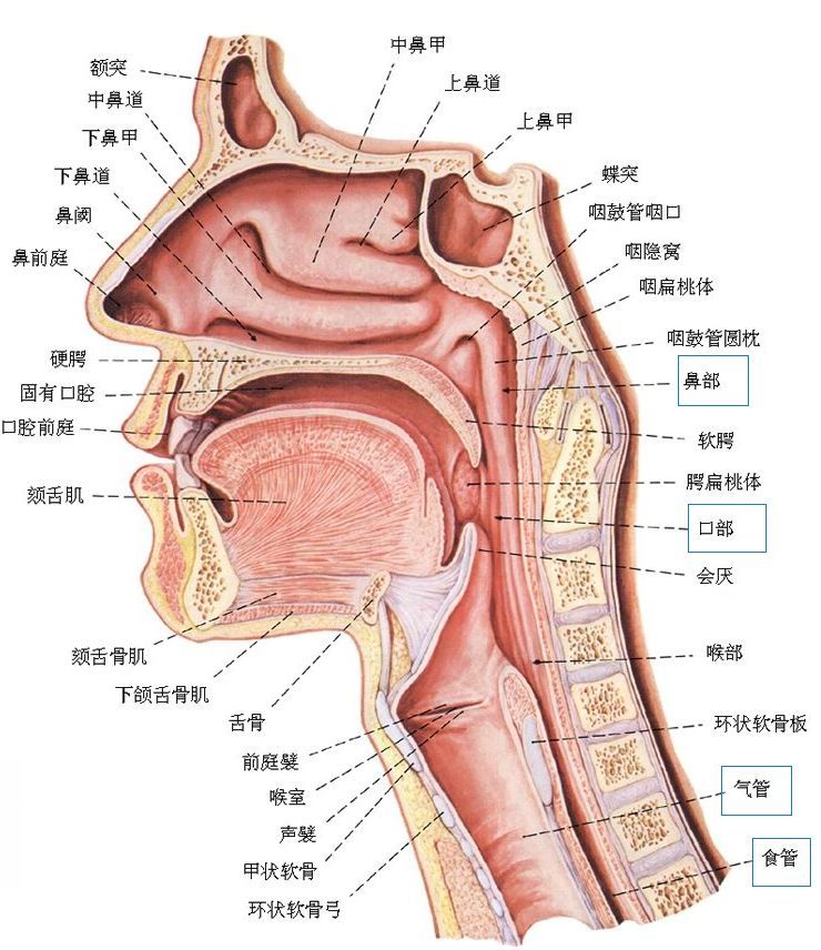 河南周口有专门管理叛逆期孩子的学校吗