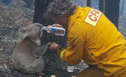 地球|2020灾难不断，是我们的地球生病了嘛？还是地球生气了呢？
