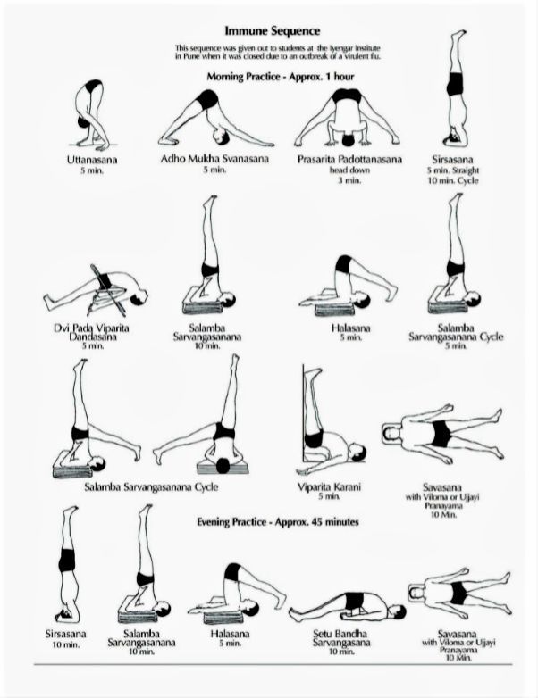 这也正是艾扬格大师在印度流感年间研发的瑜伽习练序列,大家可以跟着