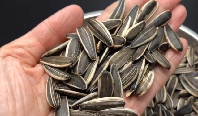 所以说,希望大家每次吃瓜子的时候,都能严格控制食用量.