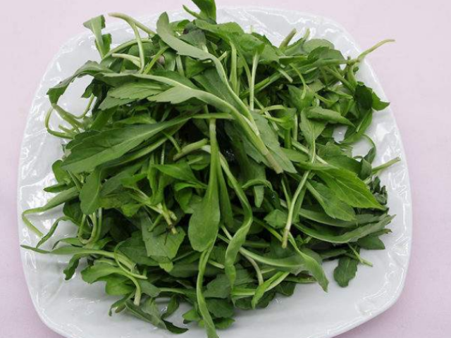 马兰马兰也是可以食用的,不过食用范围不广.