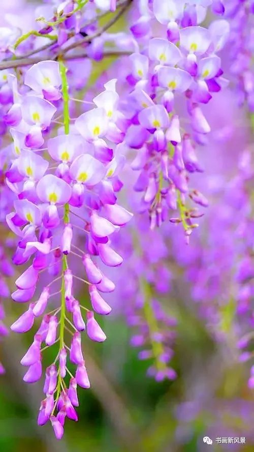 春雨知时节是什么诗_好雨知时节当春乃发生_雨知时节当春乃发生