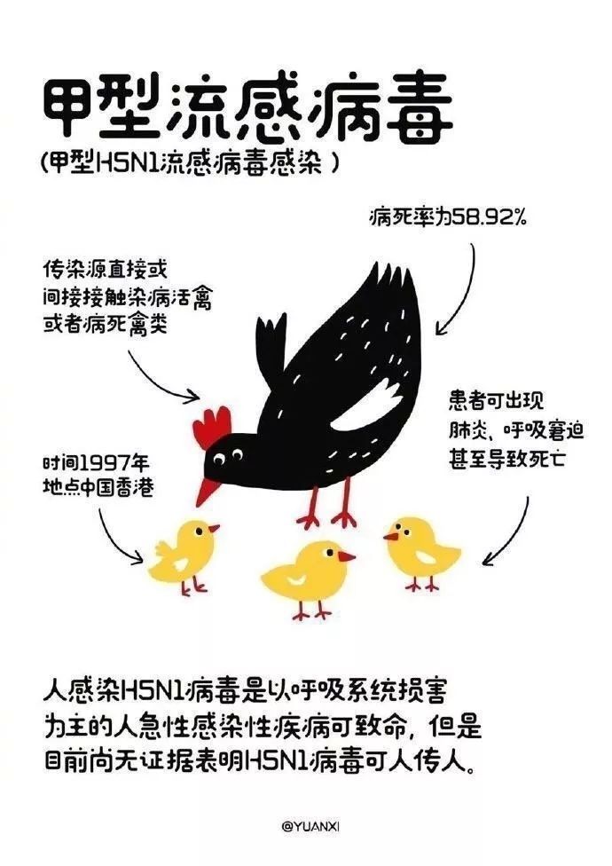 2020年春节期间,人们遭受了一场突如其来的疫情——新型冠状病毒肺炎.