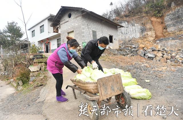 一辆载着5吨白菜萝卜的货车行驶在宜昌长阳土家族自治县大堰乡赵家堰