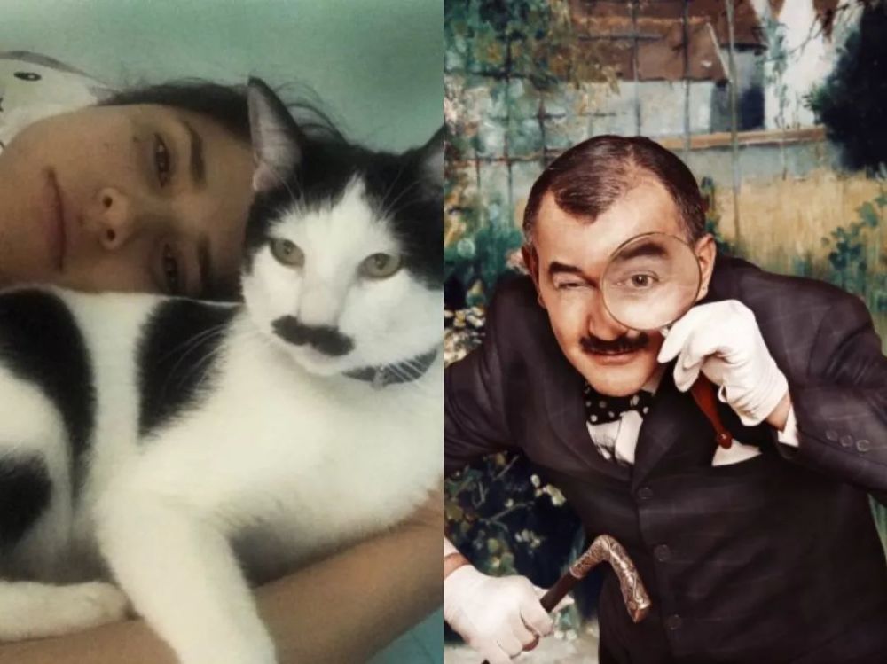 来自墨西哥两岁的猫咪alberto看起来非常像一位高贵的绅士,他脸上胡须