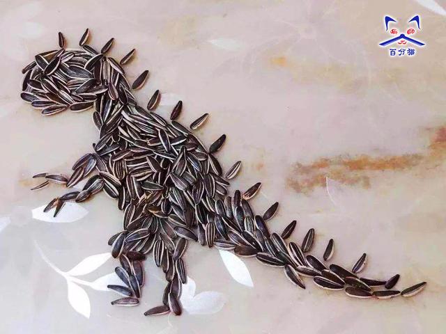 还有的学生听着课用瓜子摆出了各种小动物的形状,如果是美术课不得不