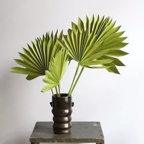 别只知道用纸做花,只做叶子也能美得如此逼真