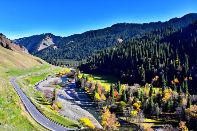 伊犁巩乃斯草原的秋色