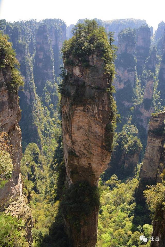 枉言张家界2015悬浮山的世界