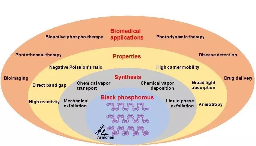 研究團隊還總結了黑磷納米材料的安全設計方法和改變黑磷界面物理化學