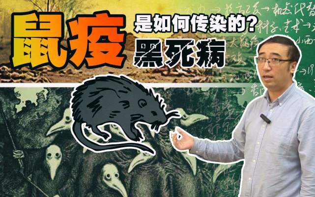 曾令欧洲5千万人死亡的黑死病,是如何消失的?4个原因道明真相!