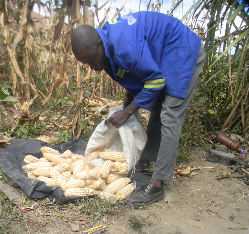 非洲正在挨饿无人关心