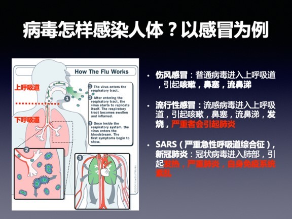 流感并发症死亡率不低,为何我们不恐惧?