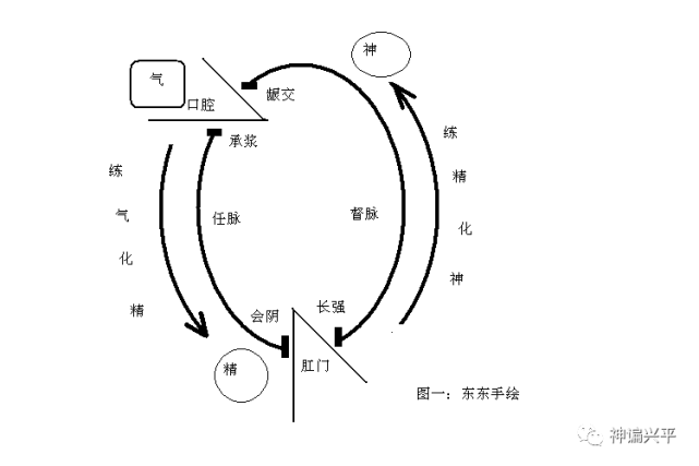 气功,道家养生,佛门打坐,瑜伽,导引,易筋等修炼方法,会在小周天内循环