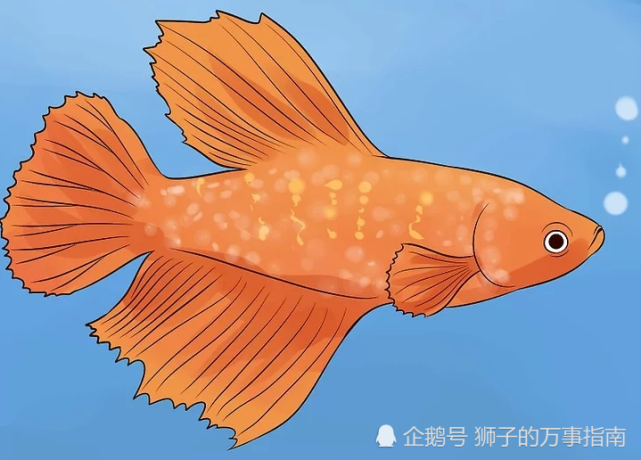 腾讯内容开放平台