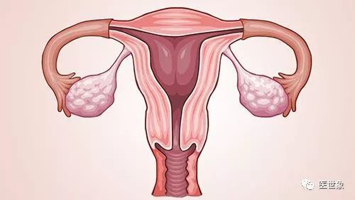 肺癌,胃癌,乳腺癌,鼻咽癌,卵巢癌,子宫内膜癌