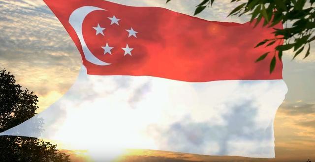 新加坡_社会|两次被赞“抗疫模范”，如今确诊人数却逼近50000！新加坡做错了什么？