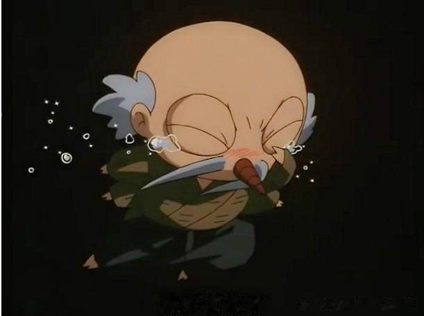 犬夜叉 冥加的30个小秘密 犬夜叉父亲犬大将的家臣 见多识广 犬夜叉 犬大将 冥加 杀生丸 戈薇 十六夜夫人