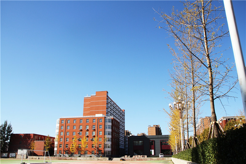 初中毕业生学什么专业好