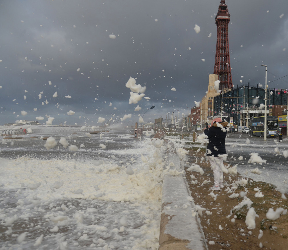 西娅拉风暴肆虐六旬老人被树砸死忠诚狗狗不愿离开身旁