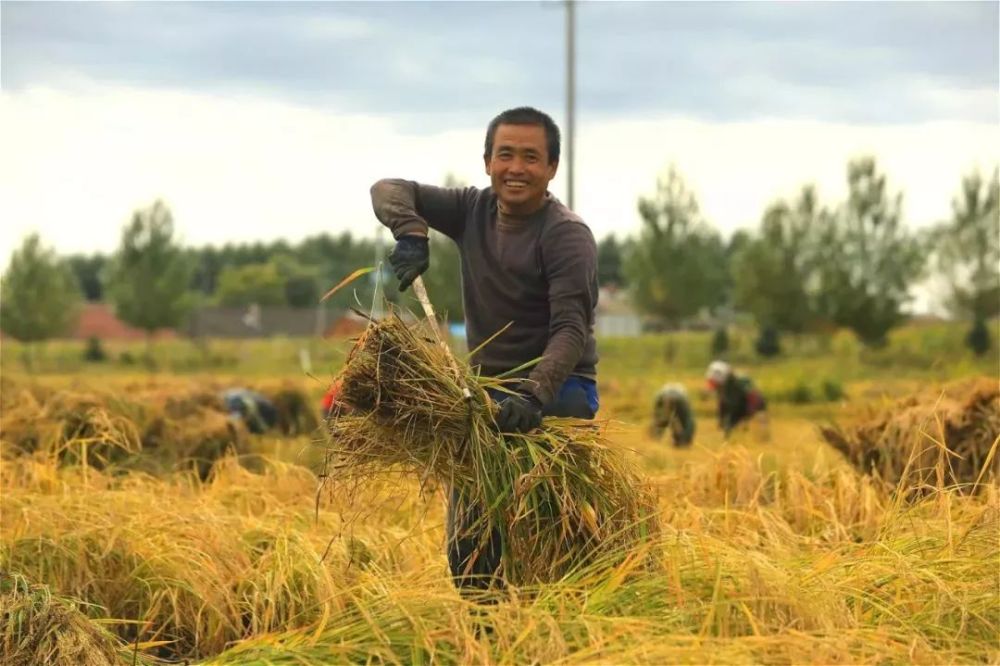 如今在农村地区,大量的年轻人都在城市里,农村留下的就是一些老农民了