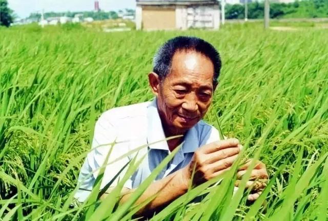 福布斯全球明星排行榜_福布斯中国名人榜排名曝光,杨幂赵丽颖王一博等10位明星均上榜