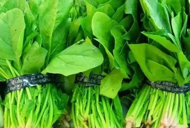 菠菜营养价值高,菠菜熬水能补血也能滋养肌肤.