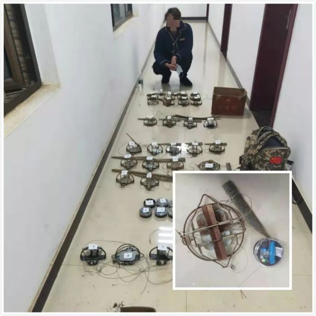 有人顶风捕杀野生动物娄底警方10天破获2起非法捕猎案