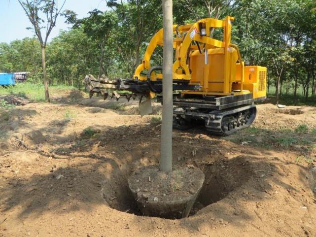 农村有句俗语拿鱼先拿头刨树先刨根是什么意思呢有道理吗