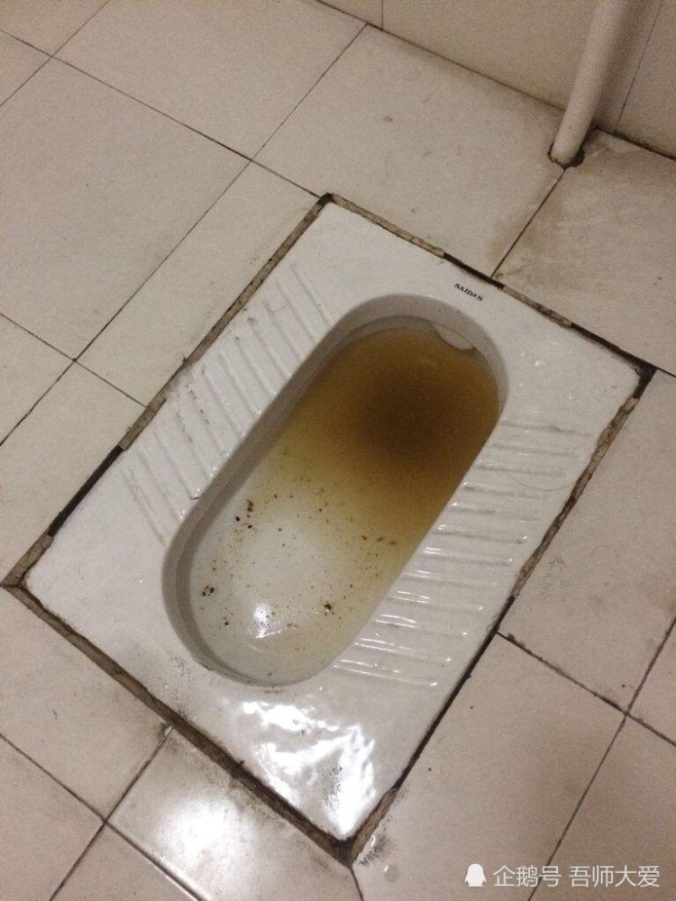厕所堵出来的管理问题_腾讯新闻