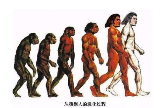 人类的进化还在持续1000年后会长成什么样日本科学家做了预测