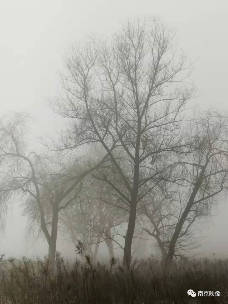 一场大雾,南京变成了寂静岭_腾讯新闻