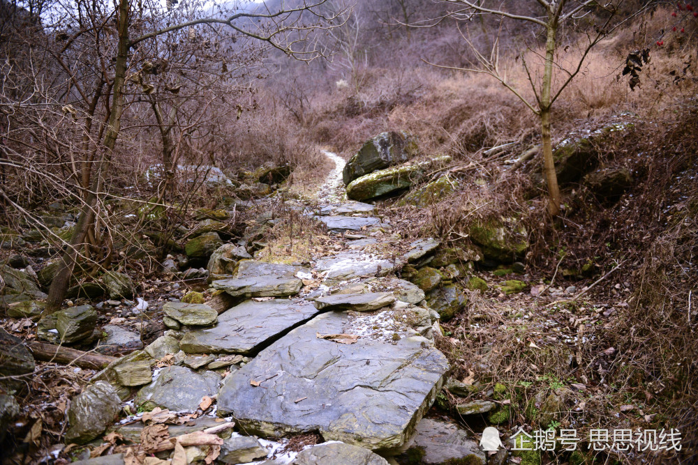 秦岭探寻记之泥峪