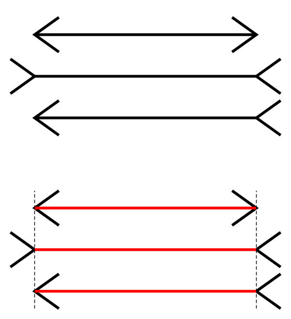 在穆勒·莱尔的幻觉理论中,两条长度相同的线,在两端为向外箭头时,看
