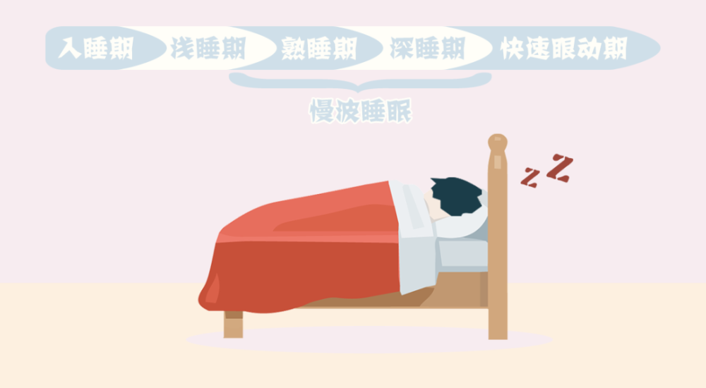 研究表明,从慢波睡眠(sws)唤醒后产生的睡眠惯性较从rem睡眠唤醒,对