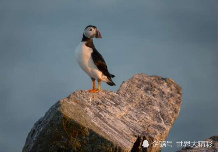 看一眼就迷醉的心型胜地 全世界有这10个 记得带上爱人去体验 腾讯新闻