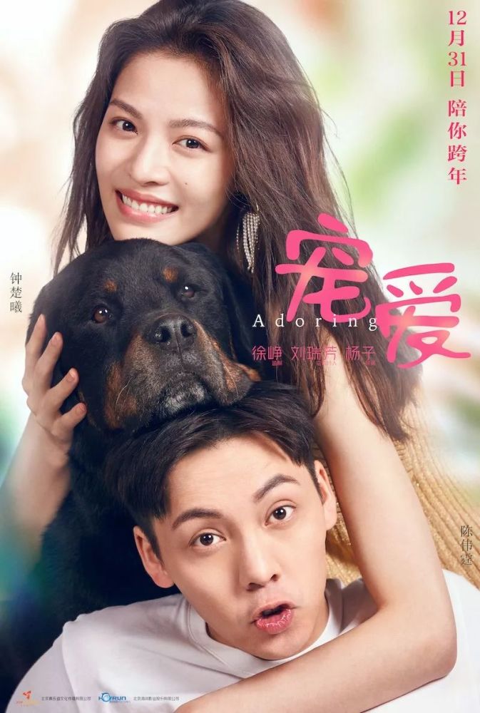 情人节推荐情侣观看电影宠爱打动人心的是爱与陪伴