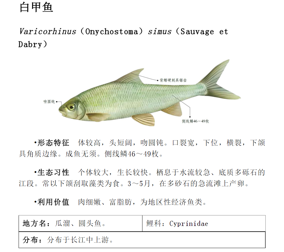 又空军了 别怪河里没鱼 你自身的这4个原因注意了吗 腾讯新闻