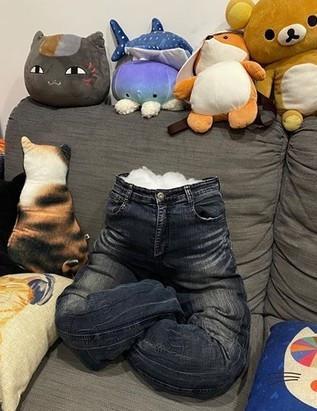 主人用牛仔裤做猫窝,猫咪看到立刻跳上来,呆着不肯走