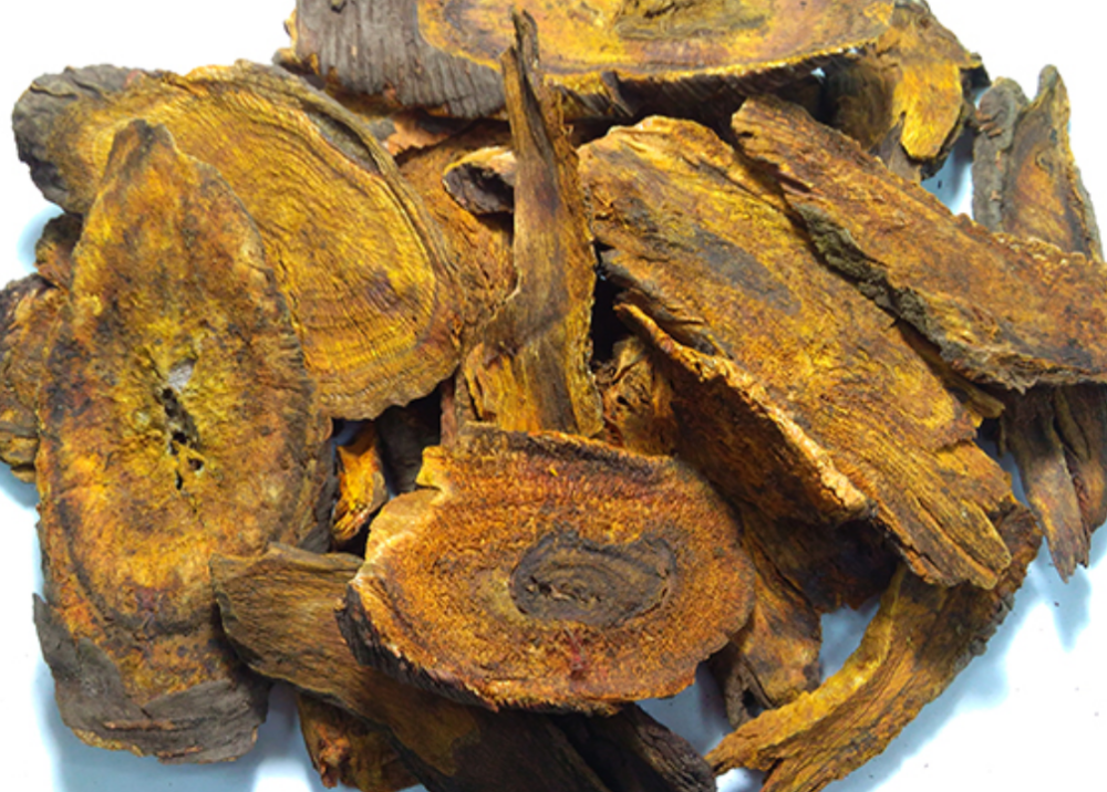 怎样种植大黄效益高?需要注意什么?_腾讯新闻