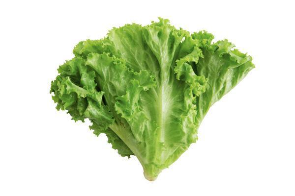 莴笋古埃及神的神秘供品放眼莴苣界它和生菜油麦菜全是一家