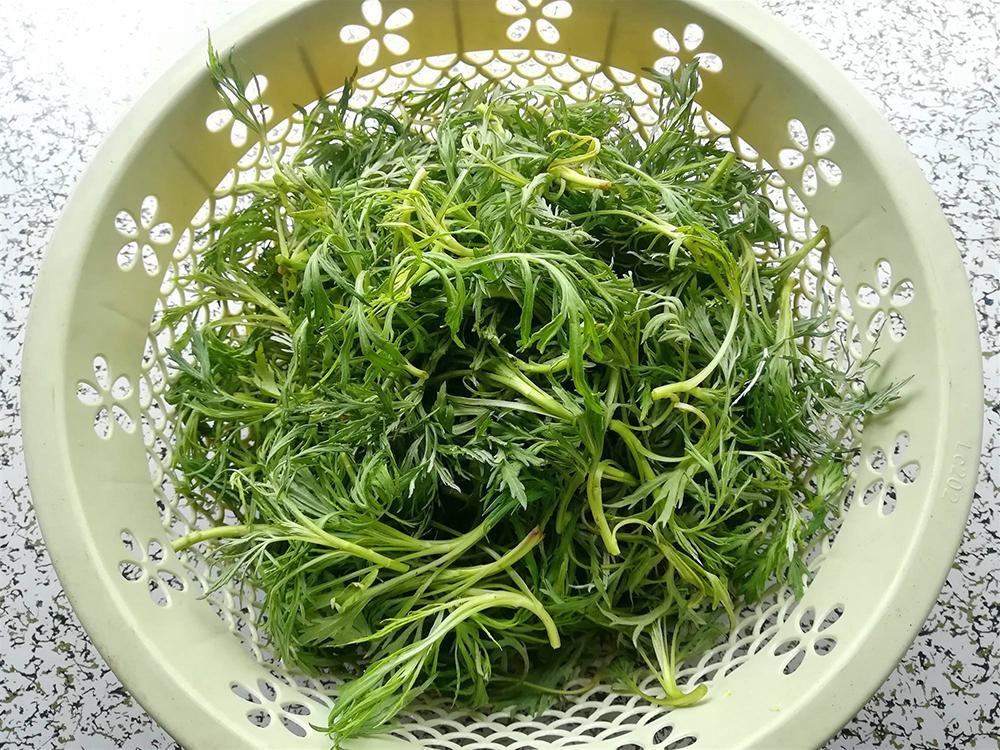 河滩边一种野菜,清香似艾草,有救命菜的美誉,如今35元一斤