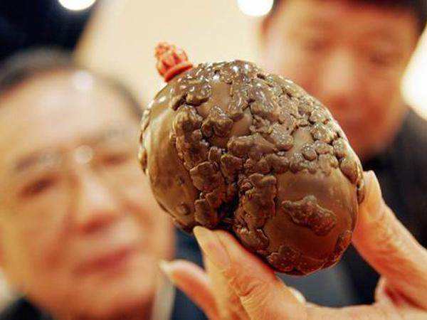 狗宝动物界有三宝"狗宝,马宝,牛黄",这三样都是珍贵的中医药材,药用