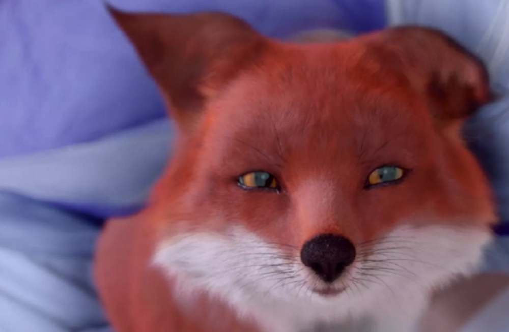 枕上书:白滚滚的真身是什么?帝君得知后崩溃,大喊:不可能