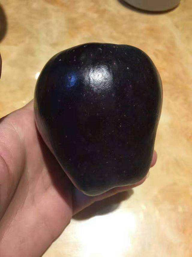 稀有的西藏"黑钻苹果",一颗售价150元,到底贵在哪里?