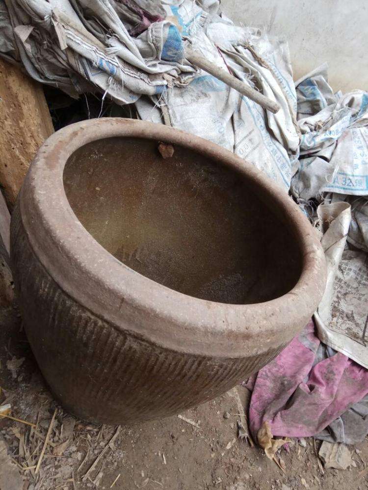 农村闲置的大缸可以用来这样种藕,好看又不占空间,还能吃莲吃藕