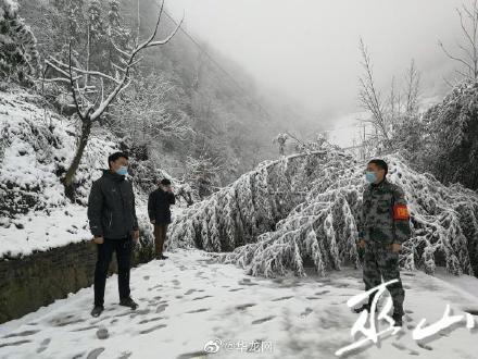 疫 无反顾 雪 战到底 最美的不是雪景 而是他们的身影 腾讯新闻