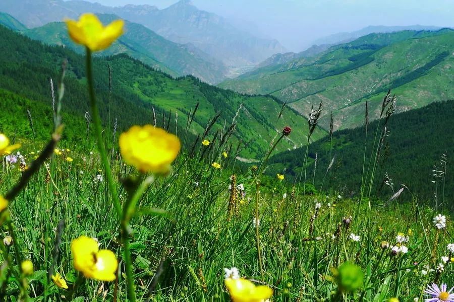 雲層照亮山川感受日出帶來的希望與美好汪國真先生說:只要春天還在,我