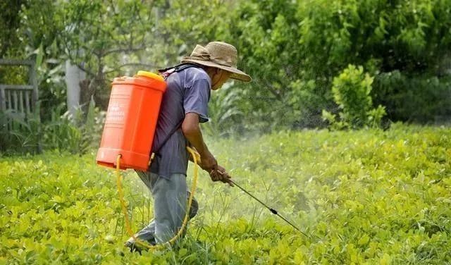 农药|打药前一个小动作，可让药效翻倍！你知道吗？