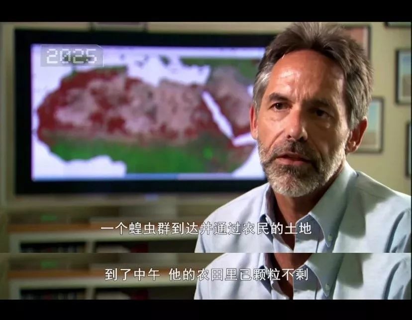 而蝗虫到了像印度,巴基斯坦这类农业大国,对人类的打击简直是致命 ..